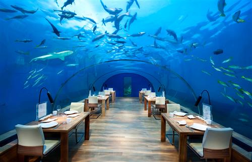 اولین رستوران شیشه ای  جهان در مالدیو
