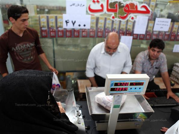 عرضه مرغ دولتی در یزد