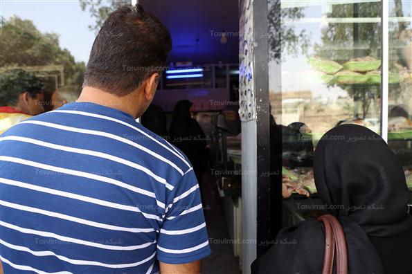 عرضه مرغ دولتی در یزد