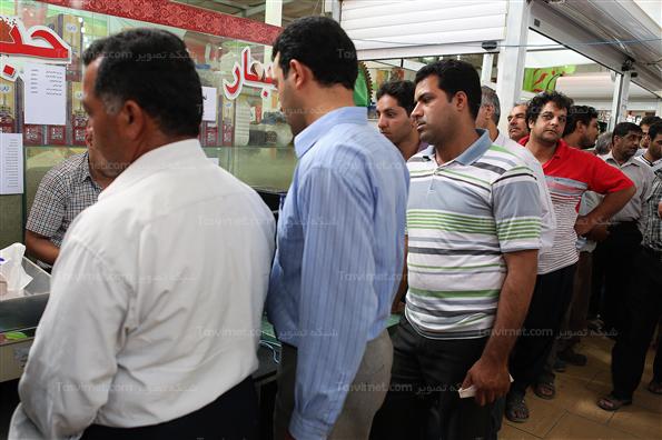 عرضه مرغ دولتی در یزد