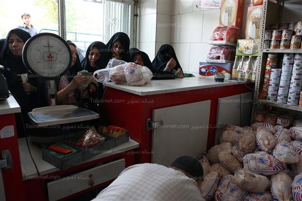 عرضه مرغ دولتی در یزد