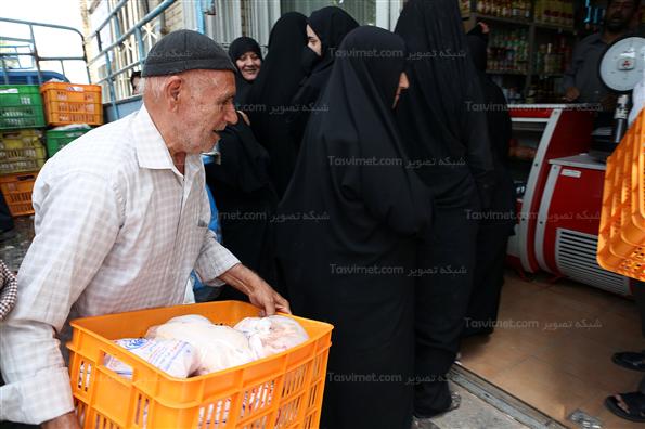 عرضه مرغ دولتی در یزد