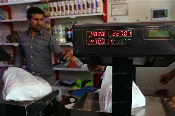 عرضه مرغ دولتی در یزد