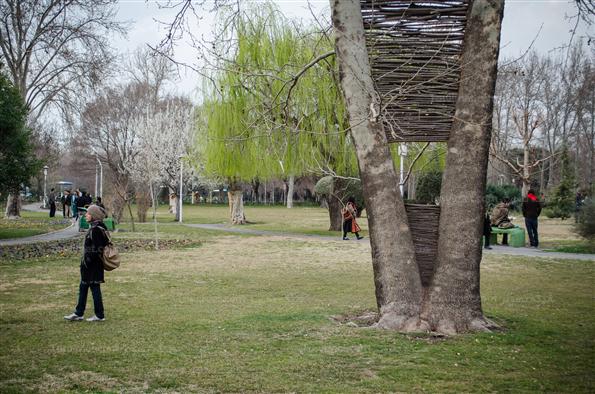 افتتاح جشنواره هنرهای محیطی در پارک لاله