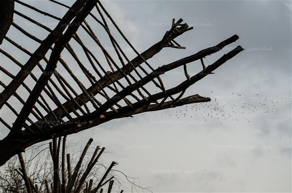 افتتاح جشنواره هنرهای محیطی در پارک لاله