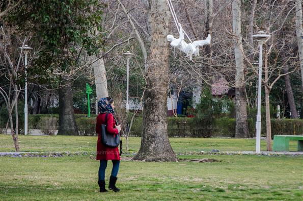 افتتاح جشنواره هنرهای محیطی در پارک لاله