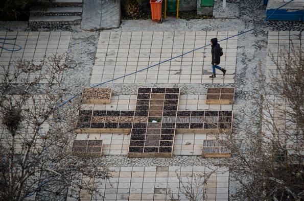 افتتاح جشنواره هنرهای محیطی در پارک لاله