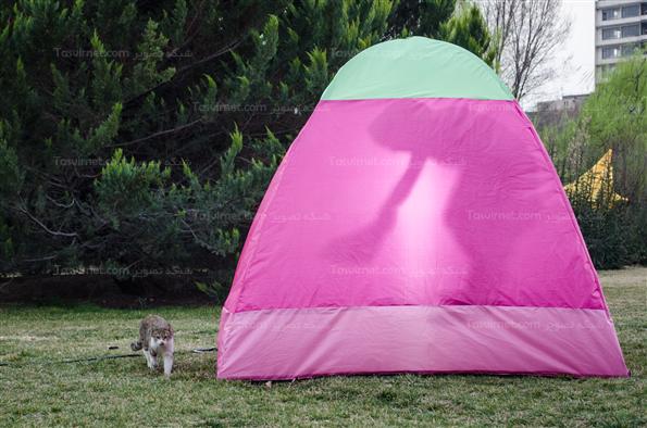 افتتاح جشنواره هنرهای محیطی در پارک لاله