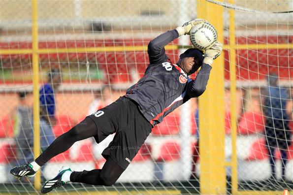 نیلسون کوریا جونیور