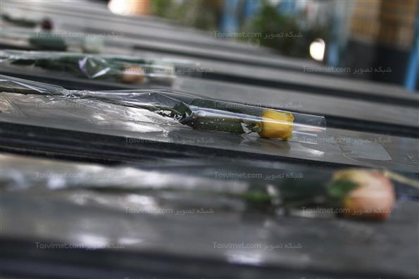 افتتاح جشنواره موسیقی مقاومت