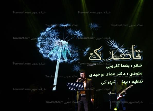 کنسرت موسیقی رضا رویگری