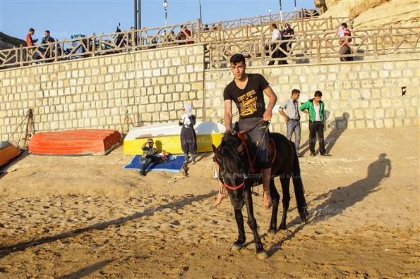 مسافران نوروزی در بوشهر