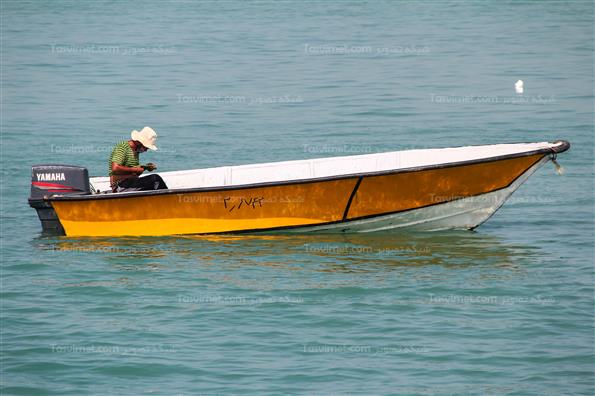 مسافران نوروزی در بوشهر