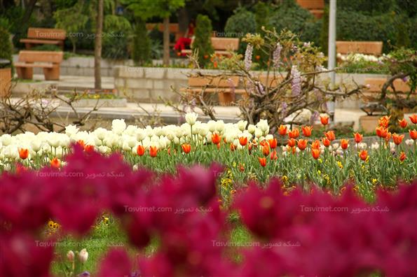 پارک نیاوران تهران