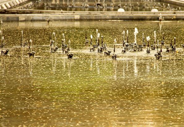 پارک نیاوران تهران