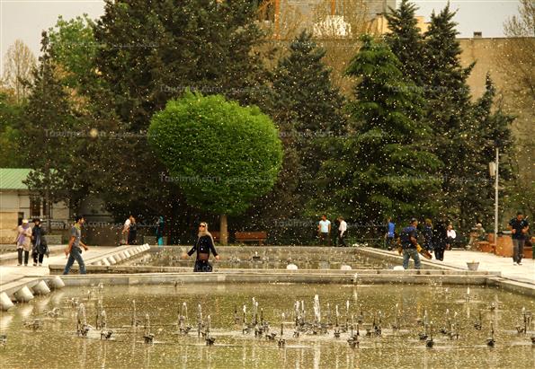 پارک نیاوران تهران