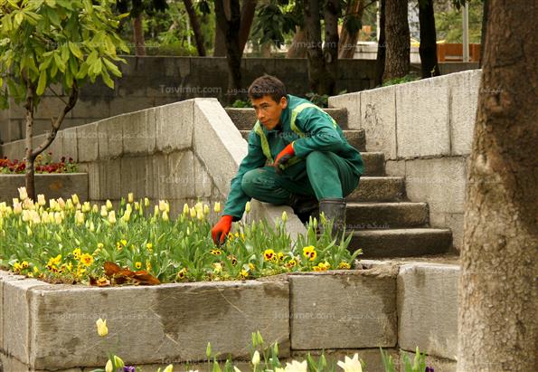 پارک نیاوران تهران