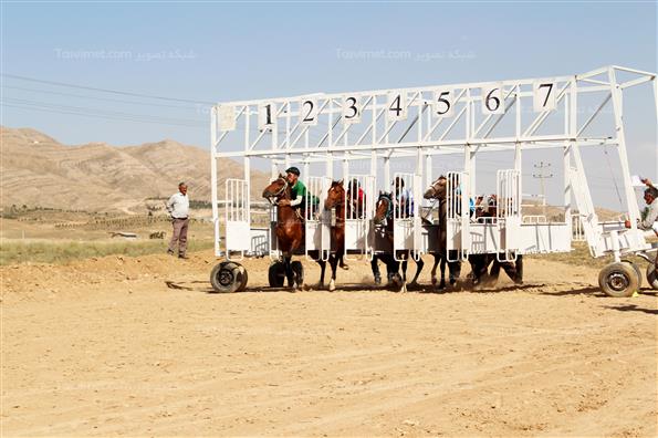 کورس بهاره اسبدوانی