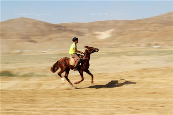 کورس بهاره اسبدوانی