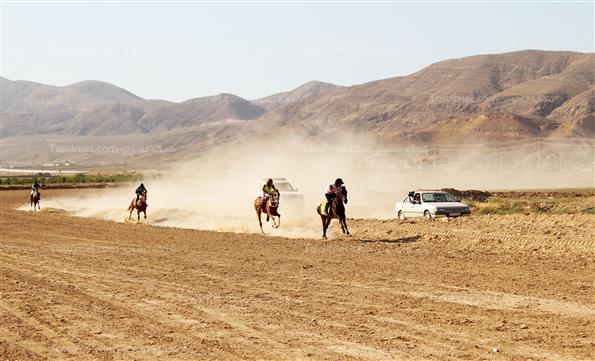کورس بهاره اسبدوانی