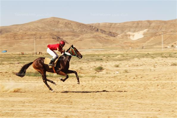 کورس بهاره اسبدوانی