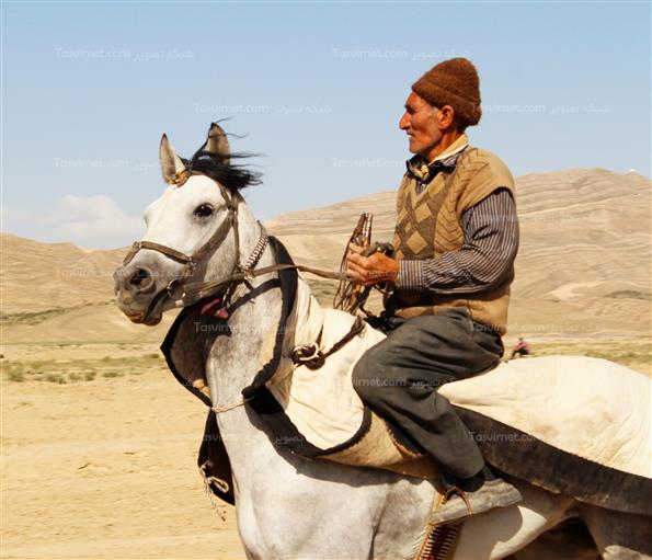 کورس بهاره اسبدوانی