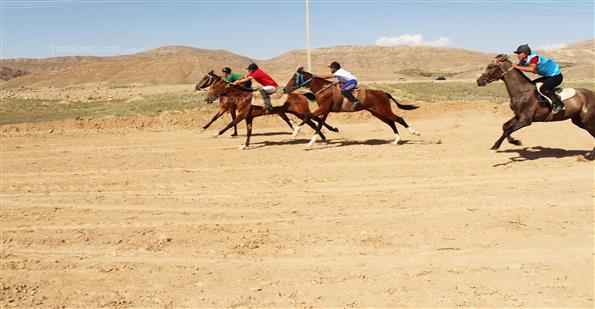 کورس بهاره اسبدوانی