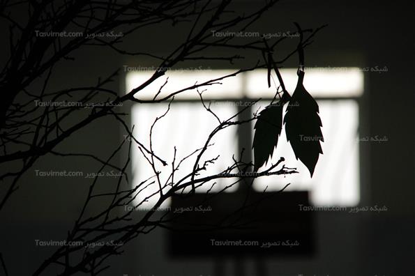 نخستین همایش پیامدهای توسعه صنعت بر شهرستان کنگان