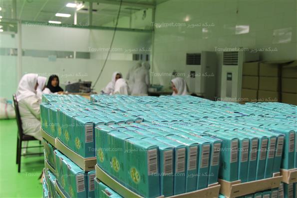 کارخانه چای و داروسازی گیاهی