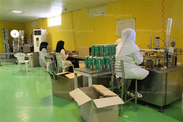 کارخانه چای و داروسازی گیاهی