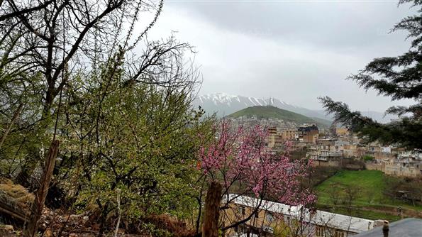 طبیعت بهاری پاوه