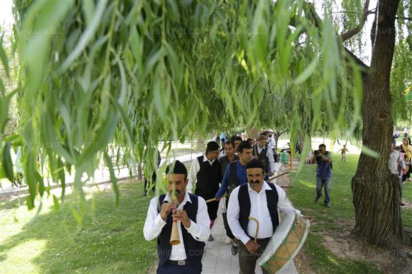 جشنواره  تتی