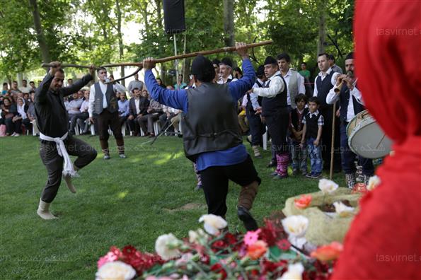 جشنواره  تتی