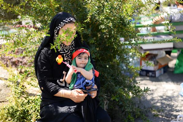 همایش شیر خوارگان حسینی