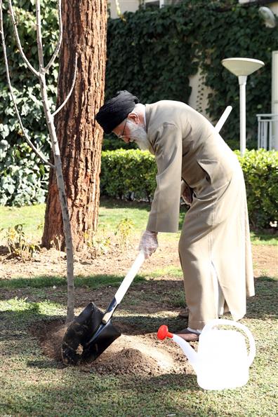 کاشت دو اصله نهال میوه توسط رهبر انقلاب اسلامی