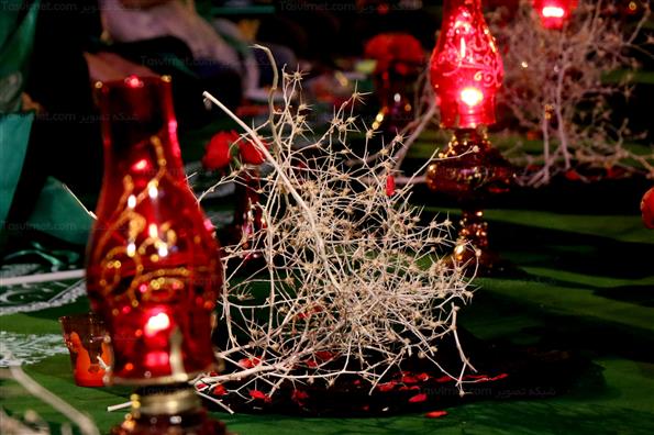 بزرگ‌ترین سفره حضرت رقیه (س) در میدان امام حسین