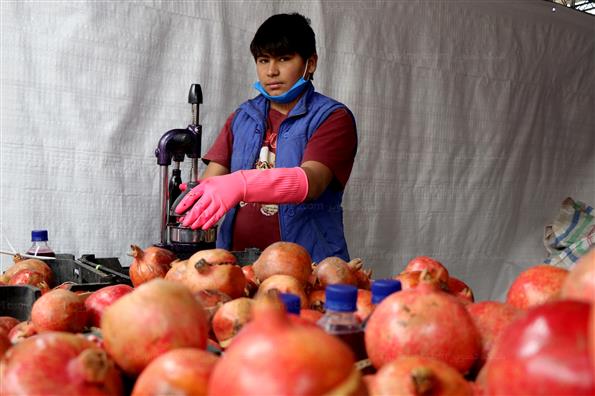 دهمین جشنواره انار صد دانه یاقوت