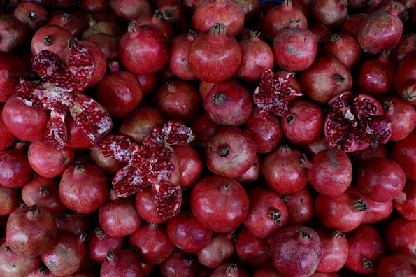 دهمین جشنواره انار صد دانه یاقوت