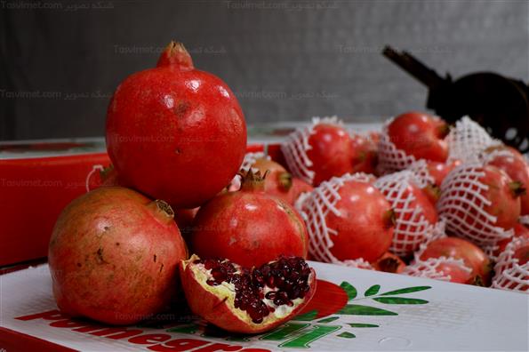 دهمین جشنواره انار صد دانه یاقوت