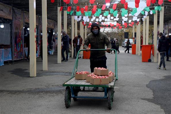 دهمین جشنواره انار صد دانه یاقوت
