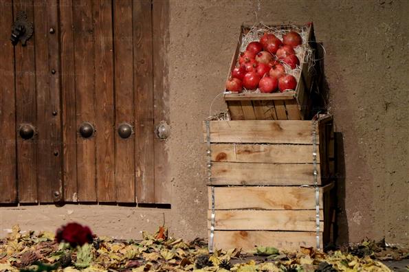 دهمین جشنواره انار صد دانه یاقوت