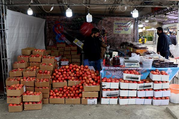 دهمین جشنواره انار صد دانه یاقوت