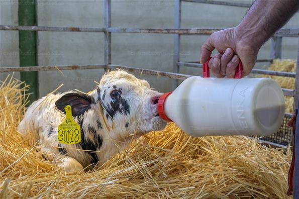 کار برای تامین امنیت کشور؛ این بار در حوزه غذا