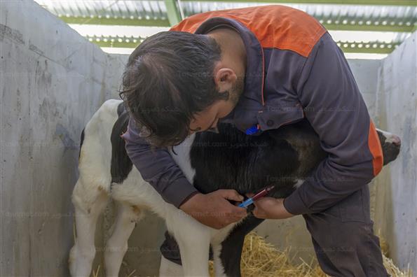 کار برای تامین امنیت کشور؛ این بار در حوزه غذا