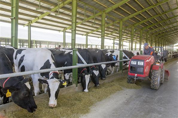 کار برای تامین امنیت کشور؛ این بار در حوزه غذا