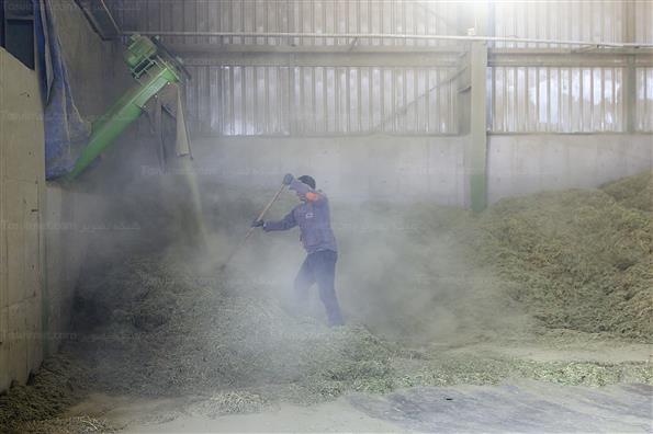 کار برای تامین امنیت کشور؛ این بار در حوزه غذا