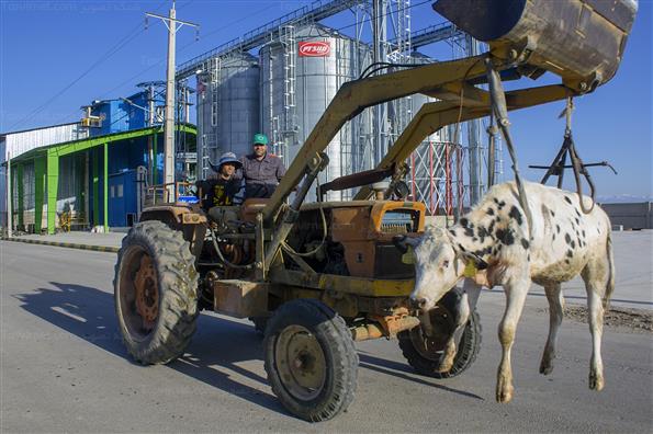 کار برای تامین امنیت کشور؛ این بار در حوزه غذا