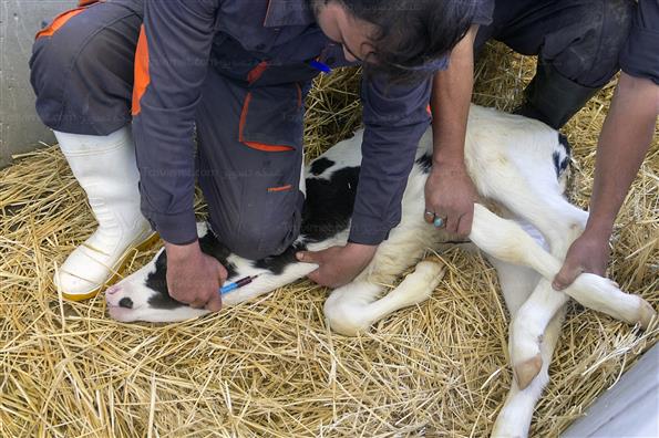 کار برای تامین امنیت کشور؛ این بار در حوزه غذا