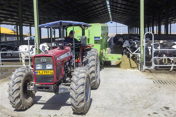 کار برای تامین امنیت کشور؛ این بار در حوزه غذا