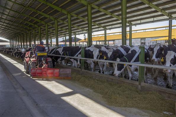 کار برای تامین امنیت کشور؛ این بار در حوزه غذا